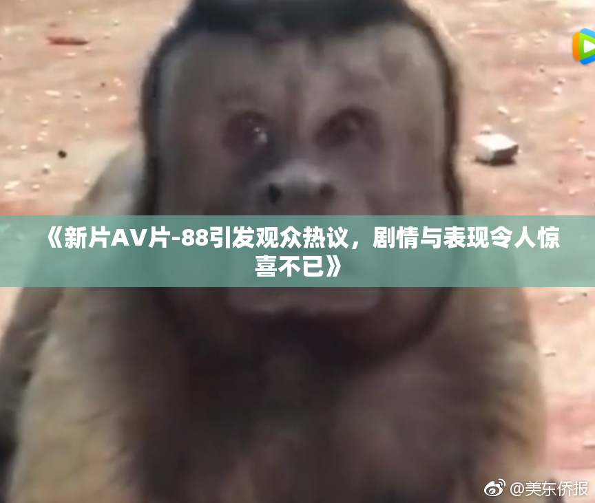 《新片AV片-88引发观众热议，剧情与表现令人惊喜不已》