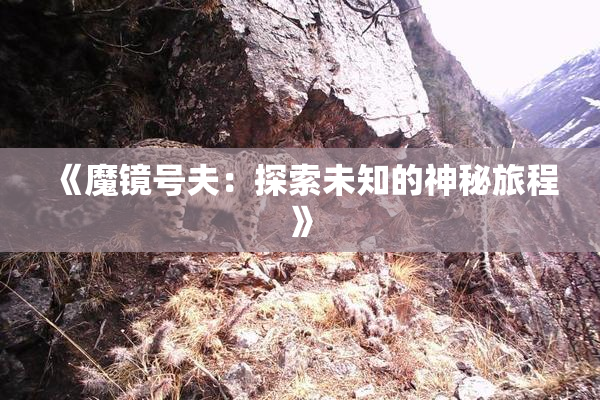 《魔镜号夫：探索未知的神秘旅程》