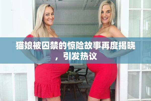 猫娘被囚禁的惊险故事再度揭晓，引发热议