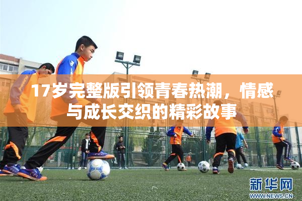 17岁完整版引领青春热潮，情感与成长交织的精彩故事