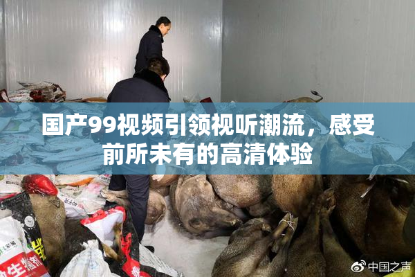 国产99视频引领视听潮流，感受前所未有的高清体验