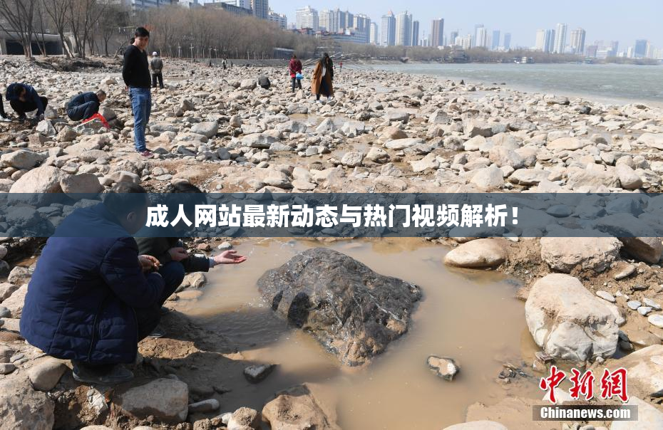 成人网站最新动态与热门视频解析！