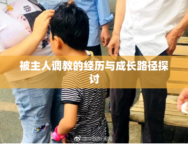 被主人调教的经历与成长路径探讨