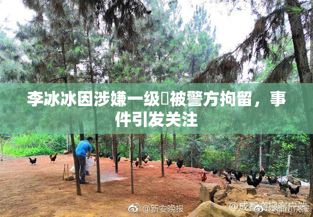 李冰冰因涉嫌一级婬被警方拘留，事件引发关注