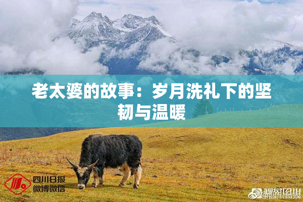 老太婆的故事：岁月洗礼下的坚韧与温暖