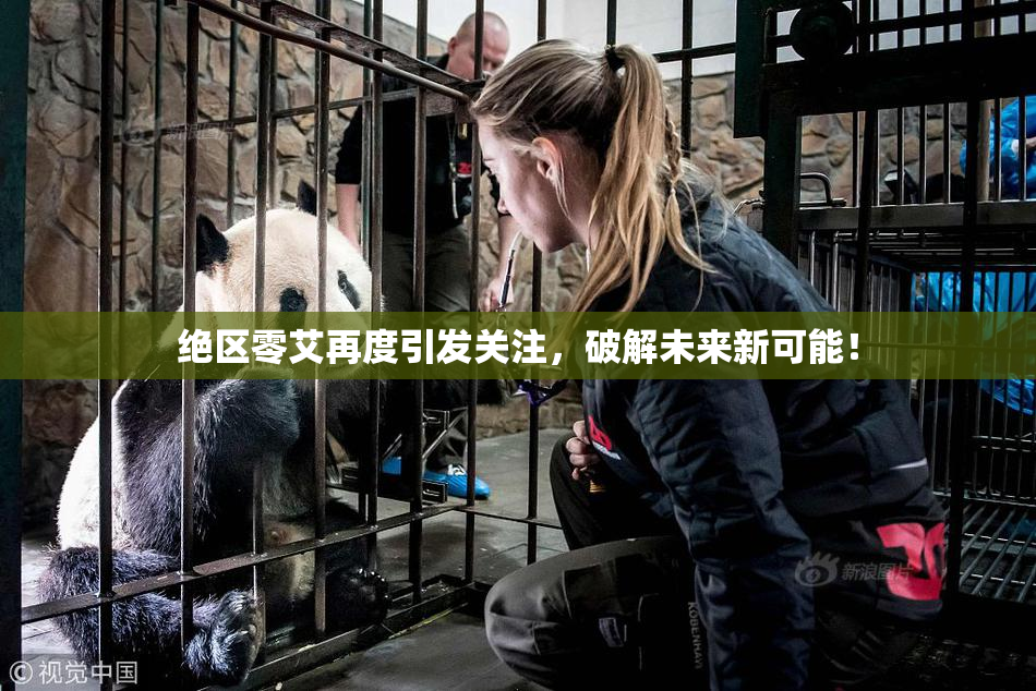 绝区零艾再度引发关注，破解未来新可能！