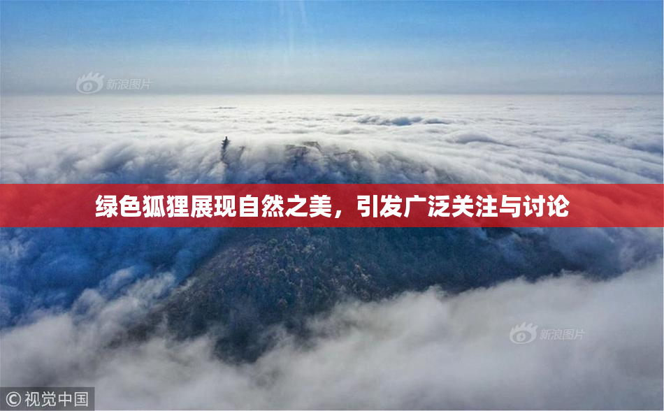 绿色狐狸展现自然之美，引发广泛关注与讨论