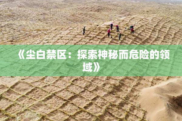《尘白禁区：探索神秘而危险的领域》