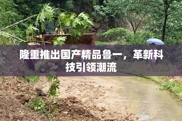 隆重推出国产精品鲁一，革新科技引领潮流