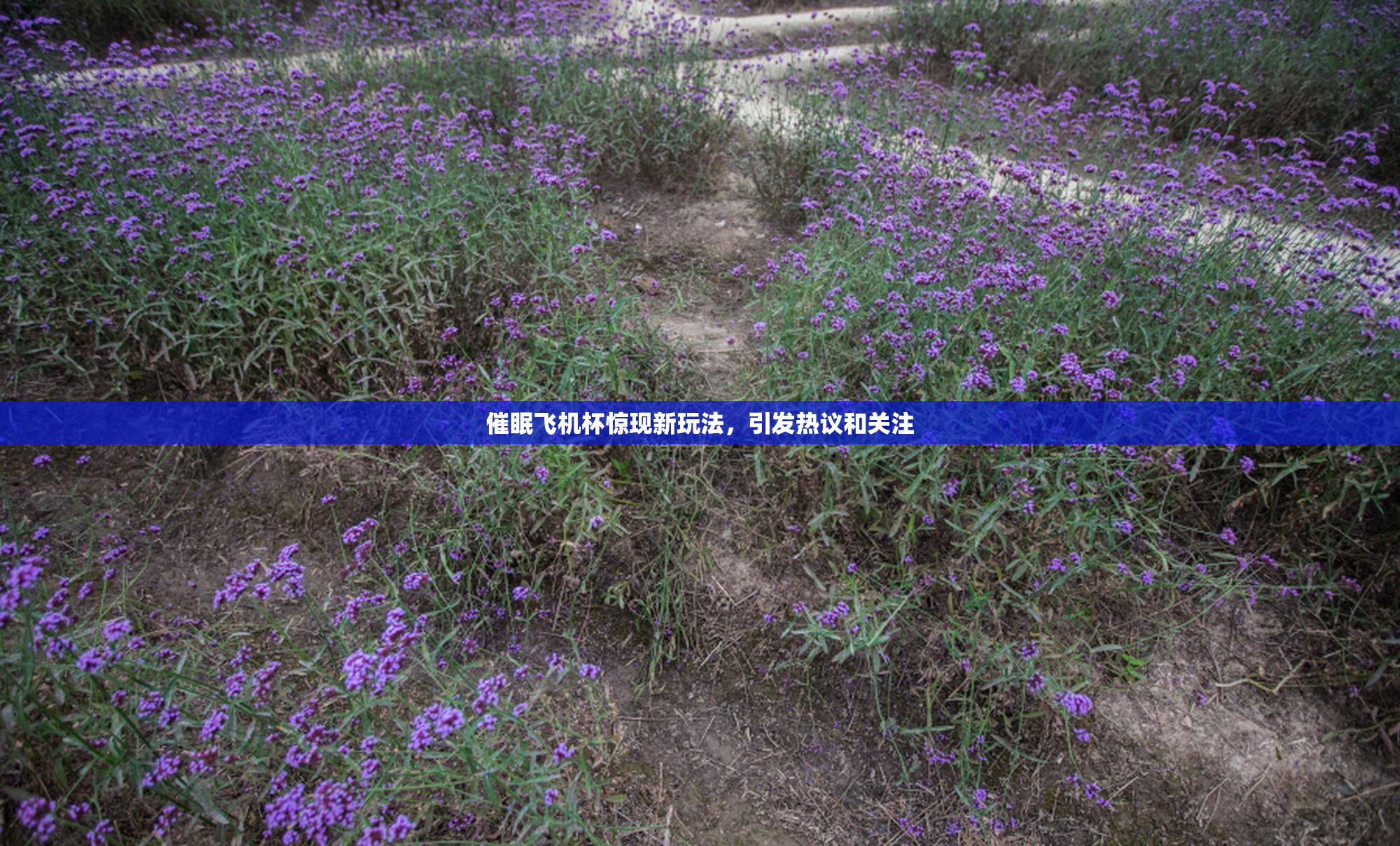 催眠飞机杯惊现新玩法，引发热议和关注