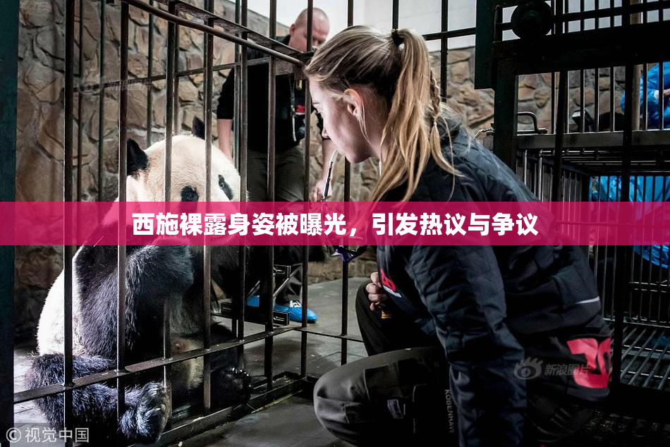 西施裸露身姿被曝光，引发热议与争议