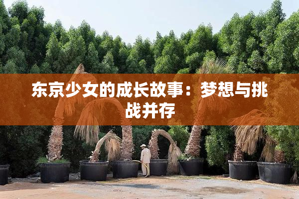 东京少女的成长故事：梦想与挑战并存