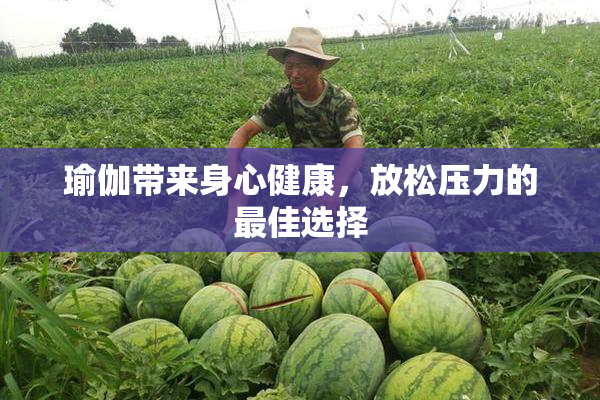 瑜伽带来身心健康，放松压力的最佳选择