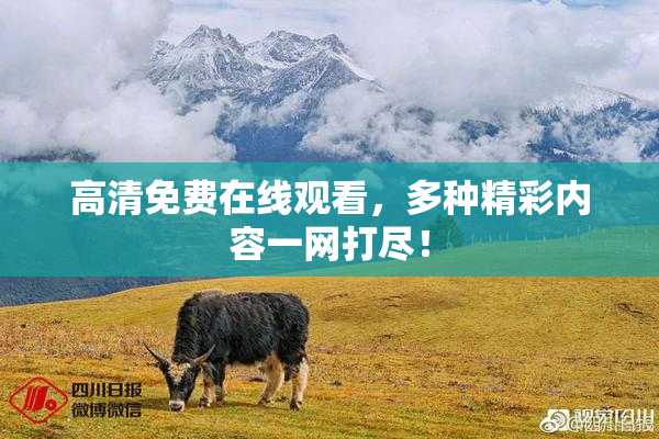 高清免费在线观看，多种精彩内容一网打尽！