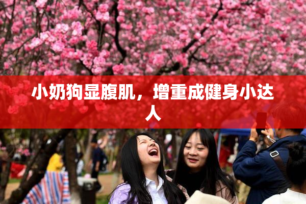小奶狗显腹肌，增重成健身小达人