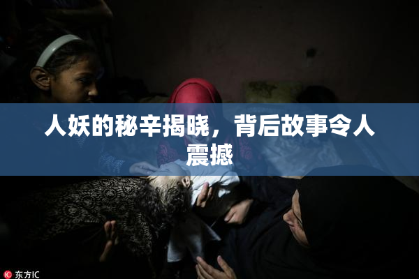 人妖的秘辛揭晓，背后故事令人震撼