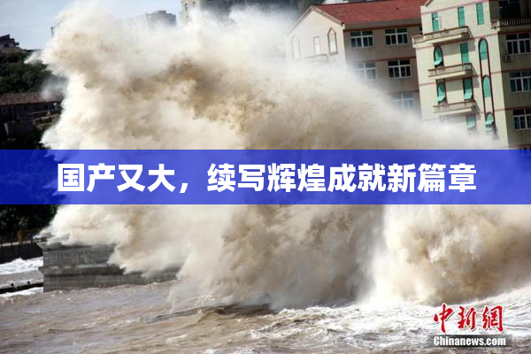 国产又大，续写辉煌成就新篇章