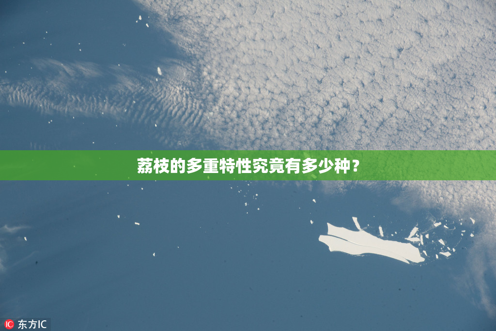 荔枝的多重特性究竟有多少种？