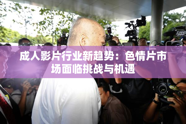 成人影片行业新趋势：色情片市场面临挑战与机遇