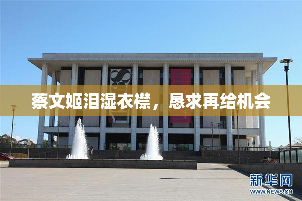 蔡文姬泪湿衣襟，恳求再给机会