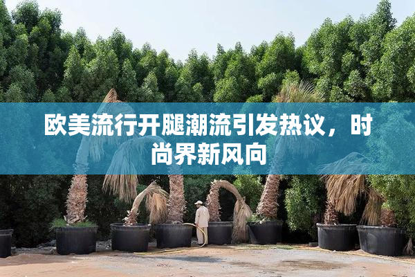 欧美流行开腿潮流引发热议，时尚界新风向