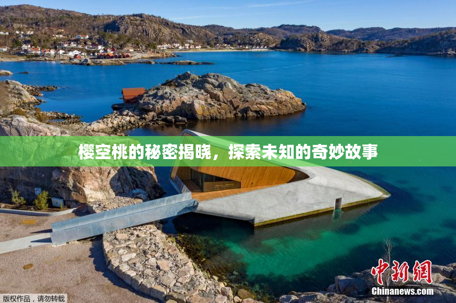 樱空桃的秘密揭晓，探索未知的奇妙故事