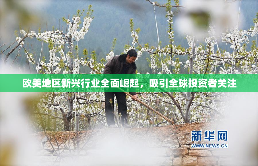 欧美地区新兴行业全面崛起，吸引全球投资者关注