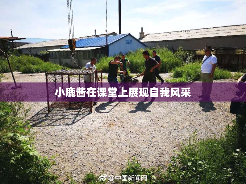 小鹿酱在课堂上展现自我风采