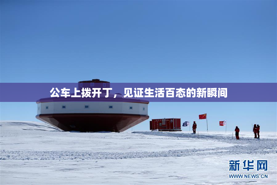 公车上拨开丁，见证生活百态的新瞬间