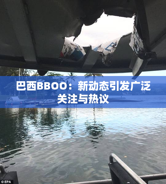 巴西BBOO：新动态引发广泛关注与热议