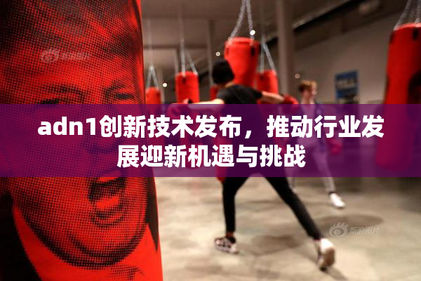 adn1创新技术发布，推动行业发展迎新机遇与挑战