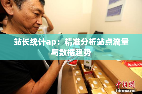 站长统计ap：精准分析站点流量与数据趋势