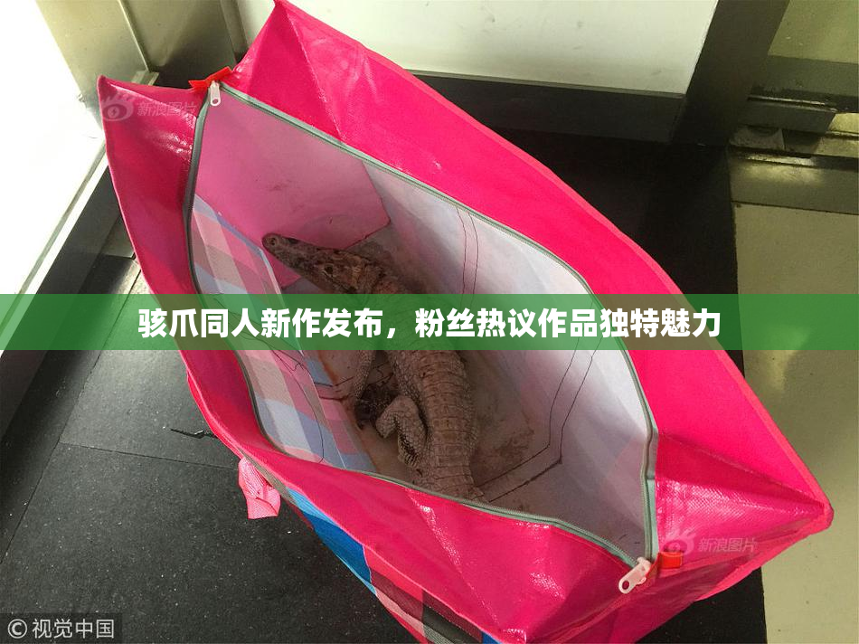 骇爪同人新作发布，粉丝热议作品独特魅力