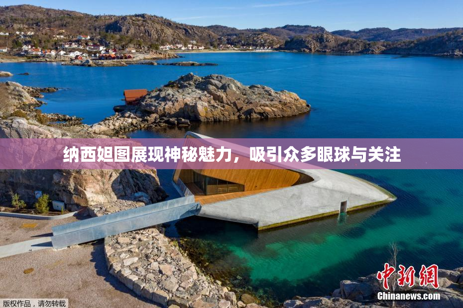 纳西妲图展现神秘魅力，吸引众多眼球与关注