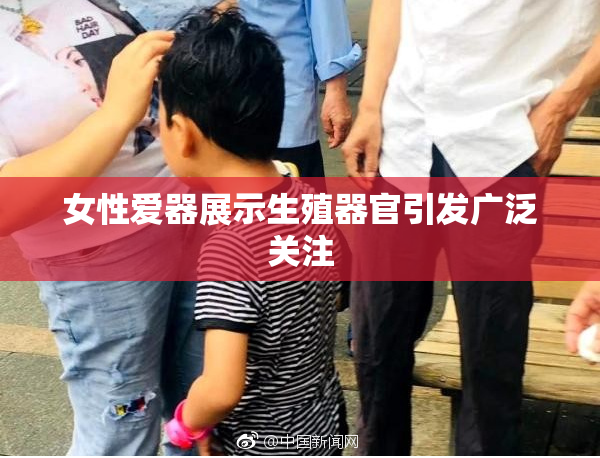 女性爱器展示生殖器官引发广泛关注