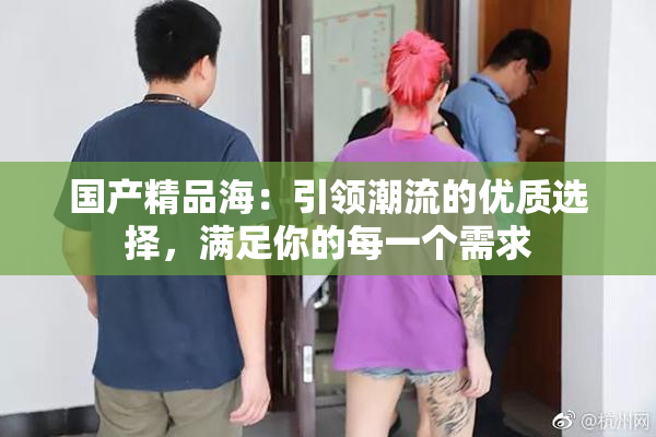国产精品海：引领潮流的优质选择，满足你的每一个需求