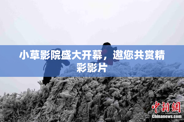 小草影院盛大开幕，邀您共赏精彩影片