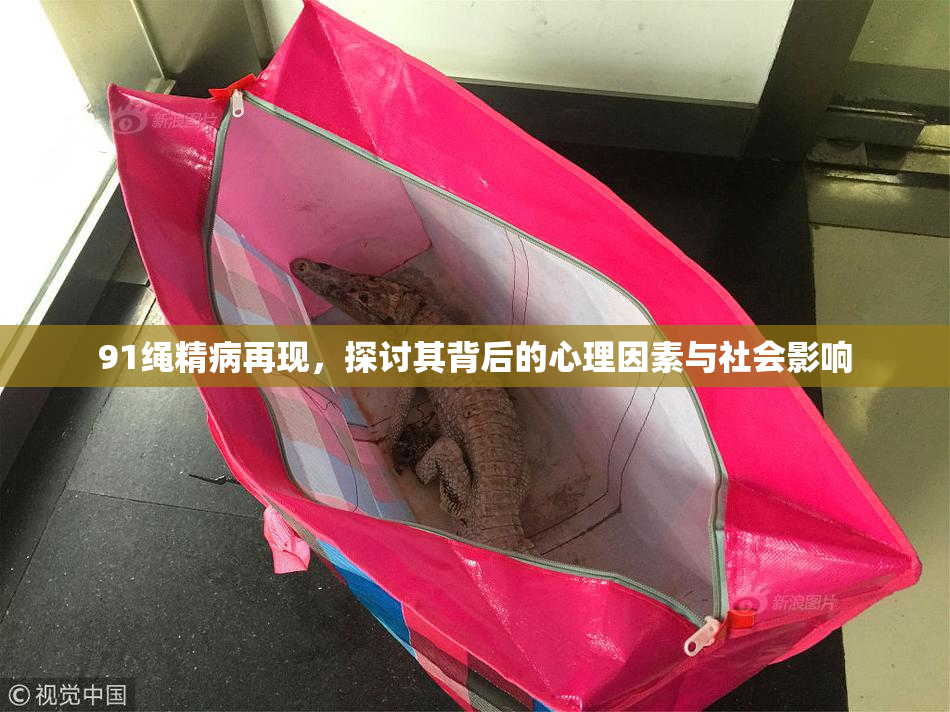91绳精病再现，探讨其背后的心理因素与社会影响
