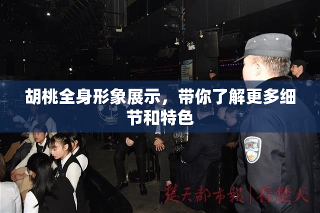 胡桃全身形象展示，带你了解更多细节和特色