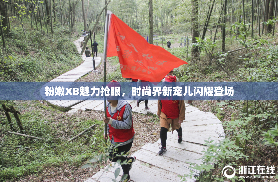 粉嫩XB魅力抢眼，时尚界新宠儿闪耀登场
