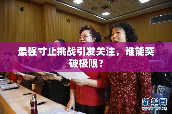 最强寸止挑战引发关注，谁能突破极限？