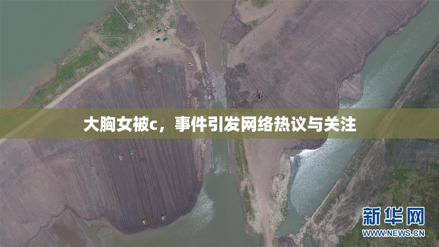 大胸女被c，事件引发网络热议与关注