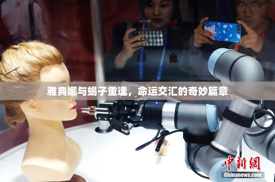 雅典娜与蝎子重逢，命运交汇的奇妙篇章