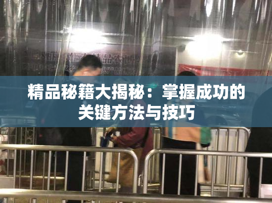 精品秘籍大揭秘：掌握成功的关键方法与技巧