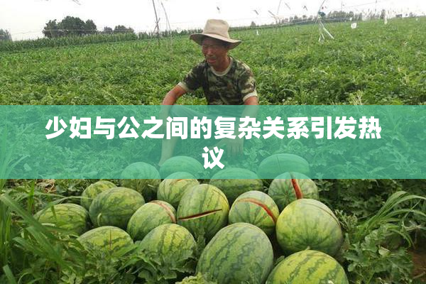 少妇与公之间的复杂关系引发热议