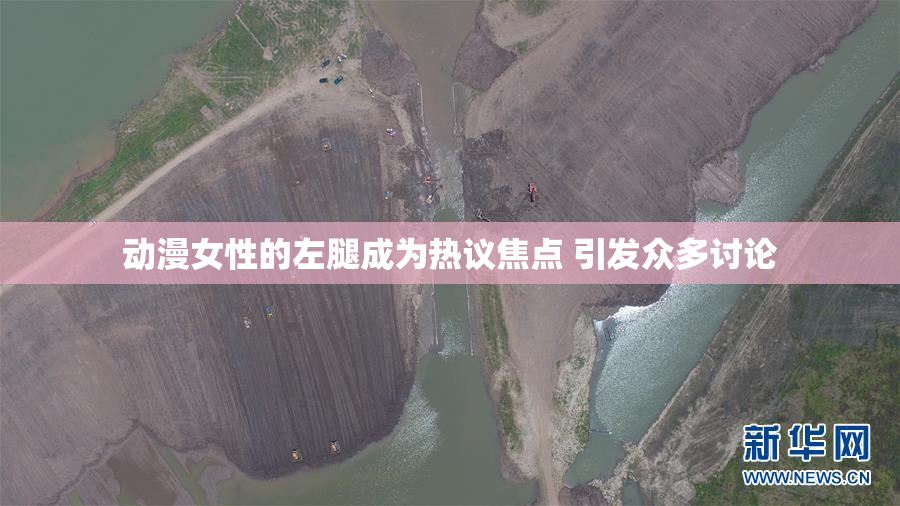 动漫女性的左腿成为热议焦点 引发众多讨论