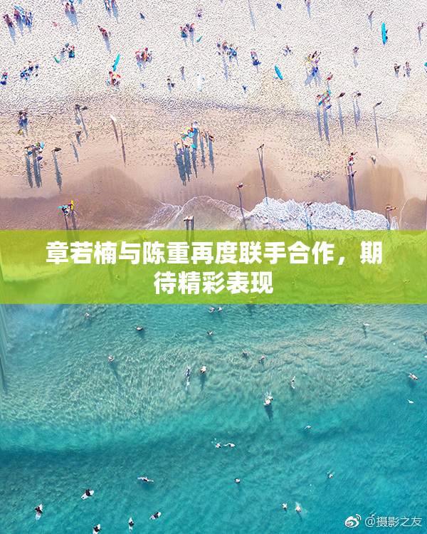 章若楠与陈重再度联手合作，期待精彩表现
