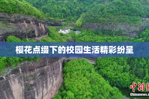 樱花点缀下的校园生活精彩纷呈