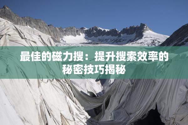 最佳的磁力搜：提升搜索效率的秘密技巧揭秘