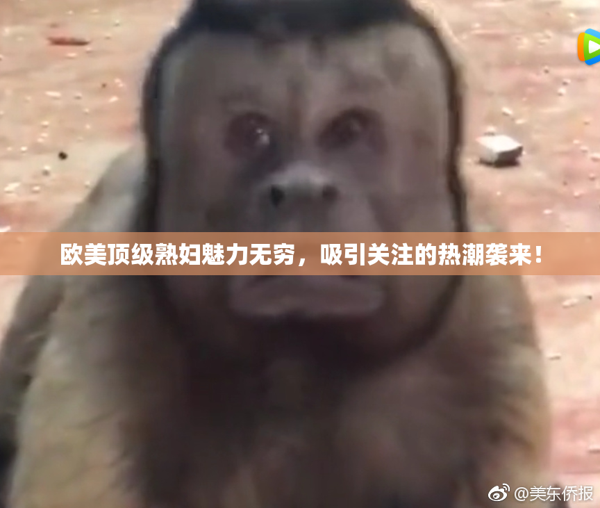 欧美顶级熟妇魅力无穷，吸引关注的热潮袭来！